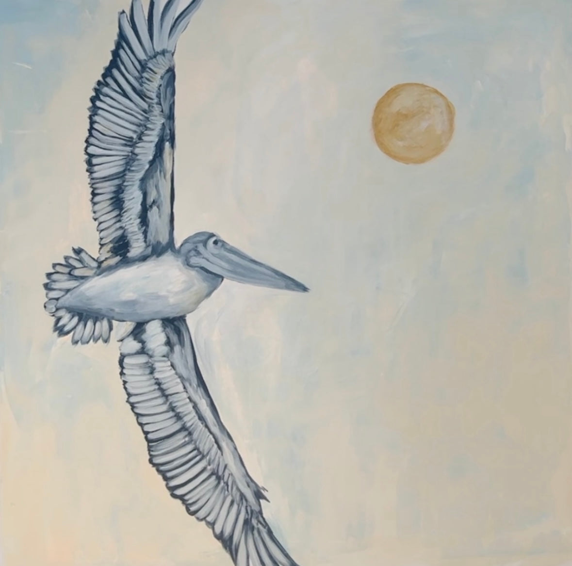 "Pelican”