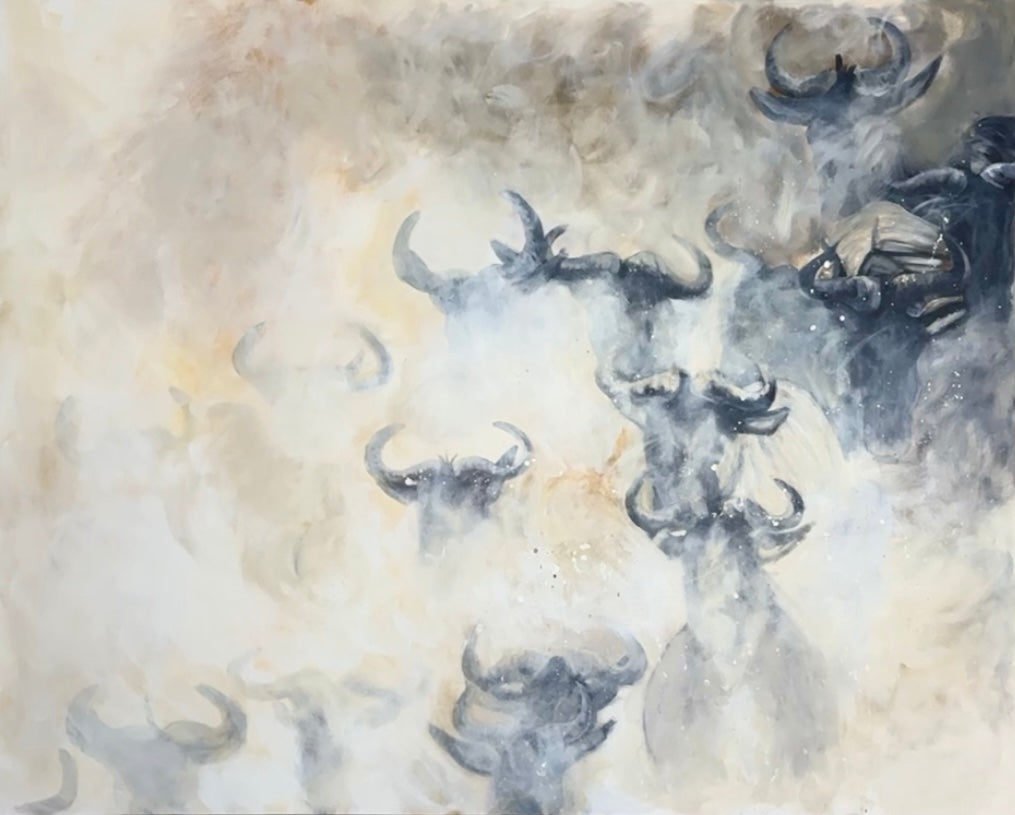 "Stampede"