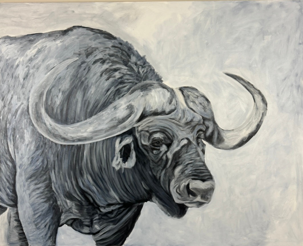 "Water buffalo"